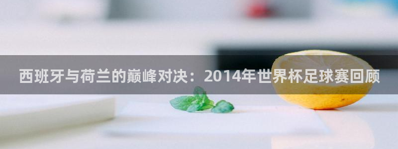 世界杯预选赛亚洲区积分榜：西班牙与荷兰的巅峰对决：2014年世界杯足球赛回顾