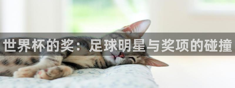 世界杯今年：世界杯的奖：足球明星与奖项的碰撞