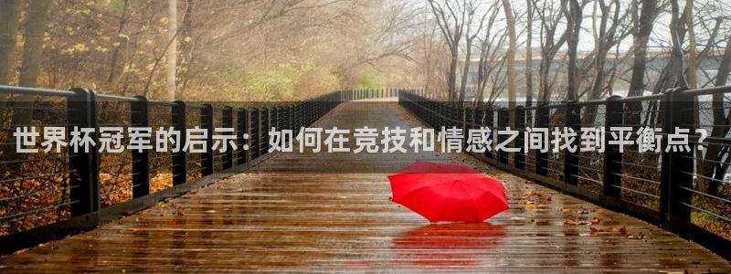 2026世界杯32强对阵图表：世界杯冠军的启示：如何在竞技和情感之间找到平衡点？