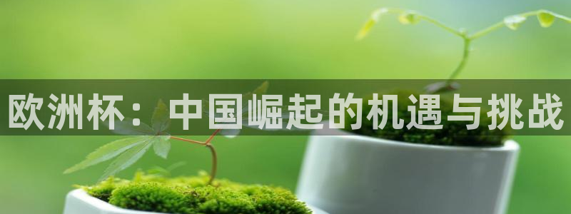 2026世界杯欧洲预选赛赛程表：欧洲杯：中国崛起的机遇与挑战