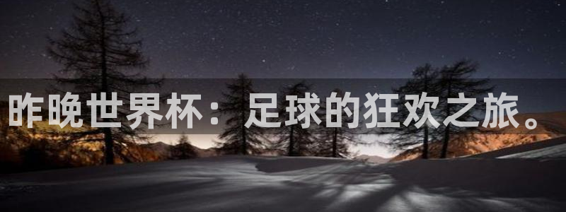 世界杯足球：昨晚世界杯：足球的狂欢之旅。