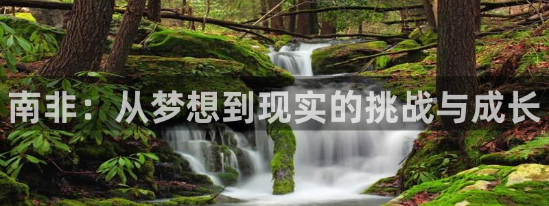 2026世界杯德国队阵容：南非：从梦想到现实的挑战与成长