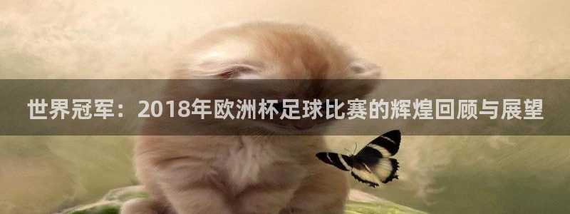 世界杯48支球队赛制：世界冠军：2018年欧洲杯足球比赛的辉煌回顾与展望