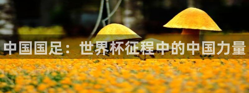 世界杯足球2026：中国国足：世界杯征程中的中国力量