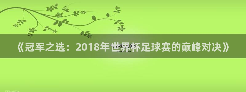 世界杯对阵表：《冠军之选：2018年世界杯足球赛的巅峰对决》