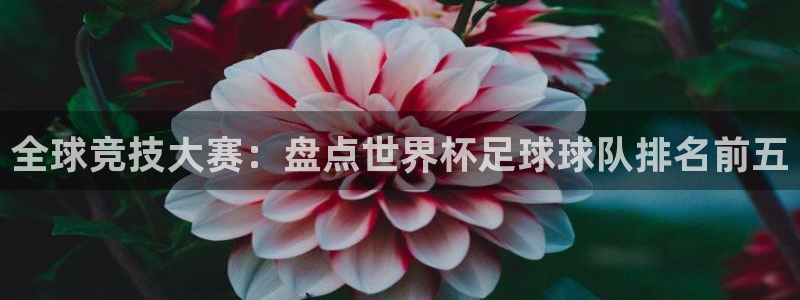 2026年世界杯对阵图：全球竞技大赛：盘点世界杯足球球队排名前五