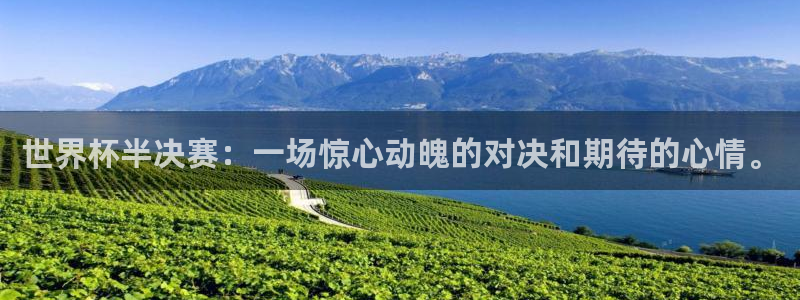 欧洲区世界杯预选赛：世界杯半决赛：一场惊心动魄的对决和期待的心情。
