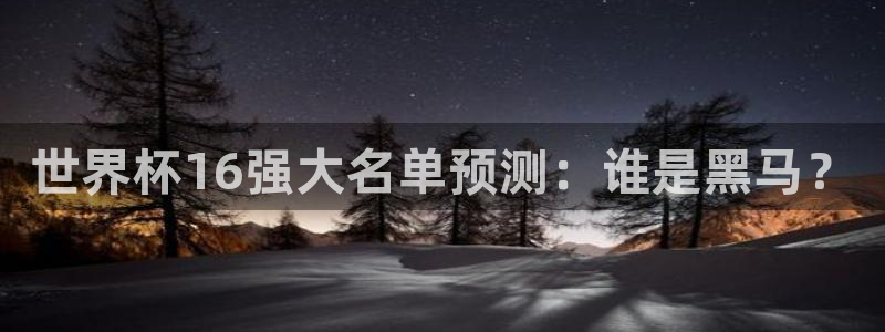 2026年男足世界杯：世界杯16强大名单预测：谁是黑马？